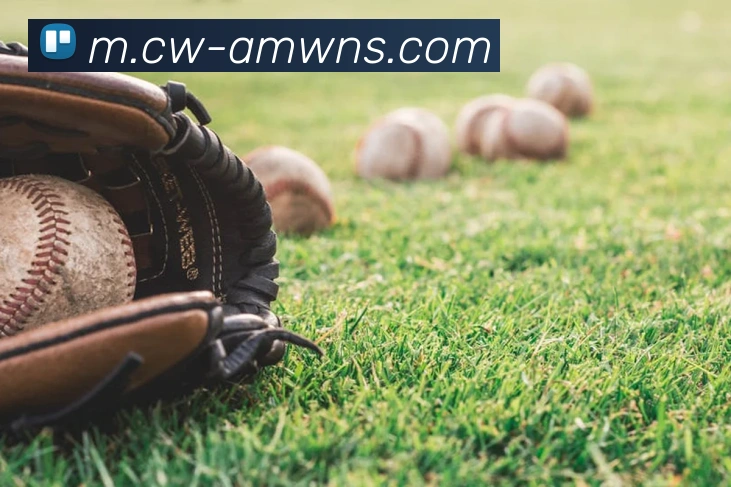 威尼斯人线上娱乐平台生态图