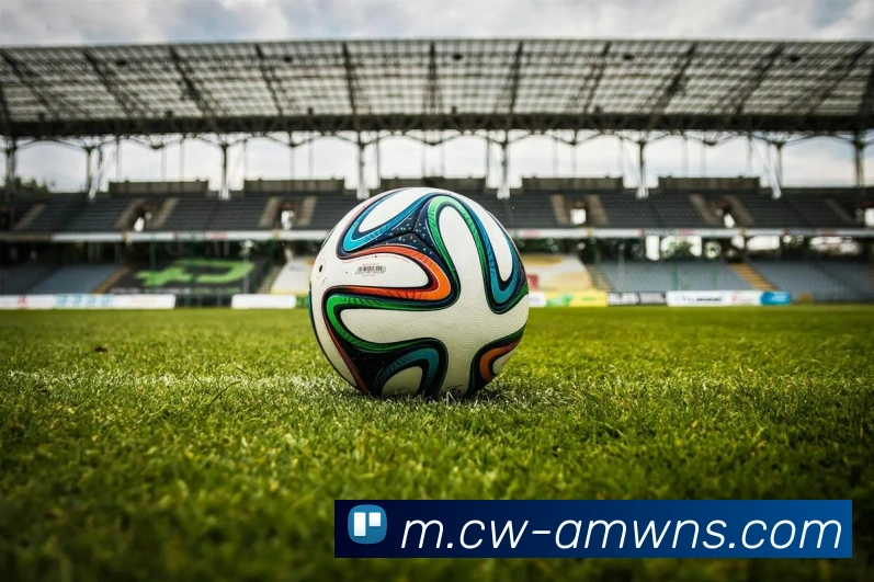 威尼斯人线上娱乐APP 封面图